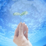 通心ネットコムの営業支援システム導入支援